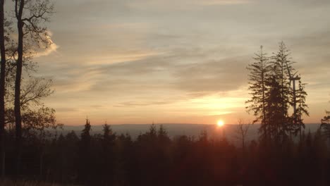 Sonnenuntergang-über-Einem-Hessischen-Wald-Mit-Schönen-Wolken-Am-Himmel