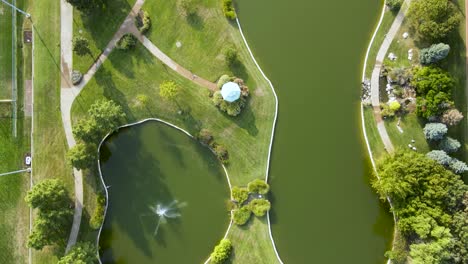 Water-Ponds-in-Beautiful-Green-Landscape---Overhead-Aerial-Drone-Top-Down-View