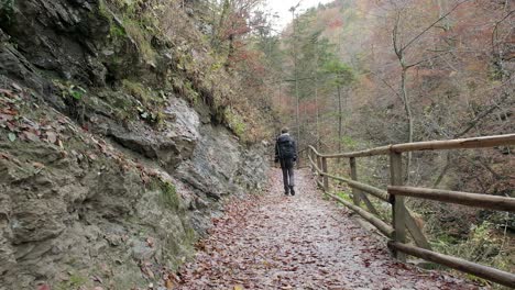 Man-walking-away-from-camera-path-trail-nature-forest-rock-mountain-autumn-day