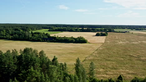 Flying-over-some-golden-fields-and-green-forests