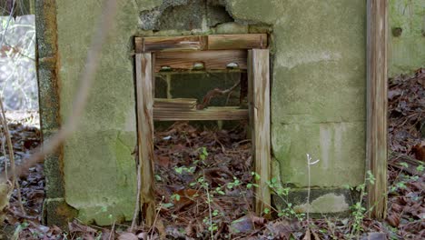 Remains-of-an-old-fireplace-in-an-abandoned-motel-in-North-Carolina