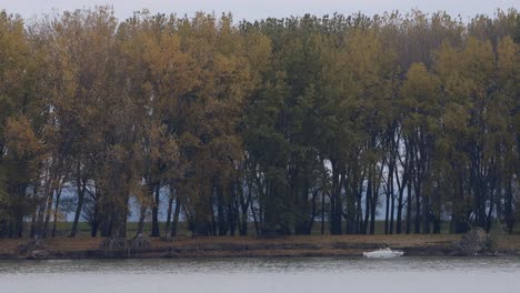 Boat-Docked-On-The-Side-Of-Danube-River-In-Galati,-Western-Moldavia,-Romania-With-Autumnal-Trees-In-Background,-wide-shot,-static