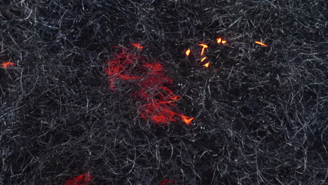 Abstract-Fire-Sparks-Burn-Throughout-Steel-Wool