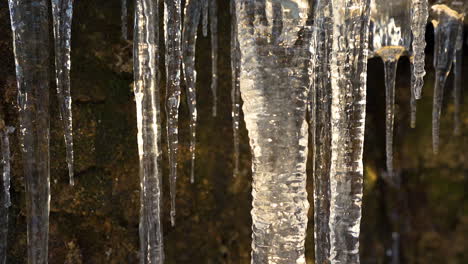 Multitude-of-long-frozen-icicles-in-a-wet-cave,closeup,Czechia