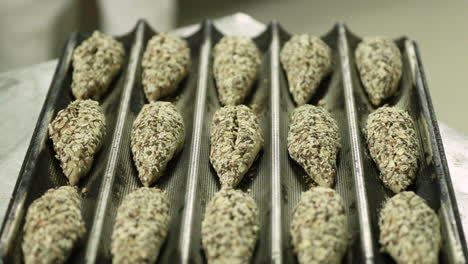Baguette-Tray-With-Dough-Topped-With-Multigrain-Seeds---Ready-For-Baking---close-up-shot