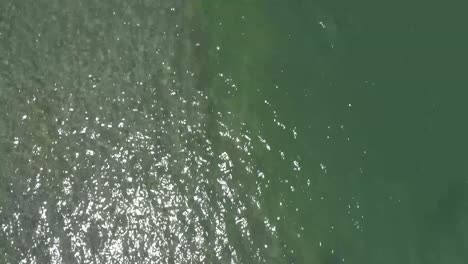 Ein-Friedliches-Fliegen-über-Klarem-Ozeanwasser