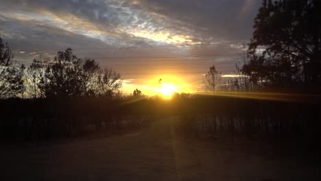 Slomo-Eines-Wunderschönen-Afrikanischen-Sonnenuntergangs,-Aufgenommen-Von-Einem-Fahrenden-Auto-Mit-Silhouettenbäumen-Im-Vordergrund