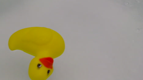 rubber-ducky-floating-around-a-bath-tub