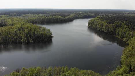 Aerial-of-beautiful-european-lake-surrounded-by-forest-with-green-trees