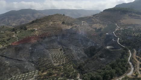 Aerial-smouldering,smoking-remains-of-forest-fire-amongst-olive-groves-in-Spain,-Granada