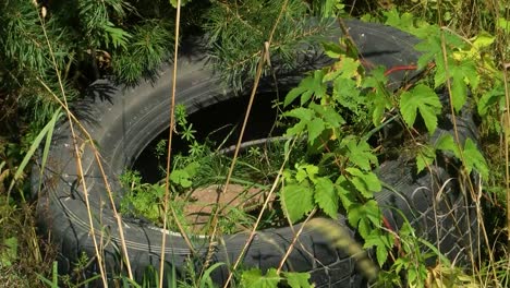 A-car-tire-is-abandoned-on-the-side-of-roads