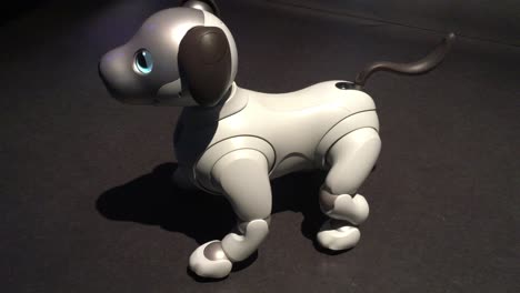 Ai:-El-Perro-Robot-Aibo-De-Sony-Gimiendo-En-La-Exposición-&#39;ai:-Más-Que-Humano&#39;,-Barbacana