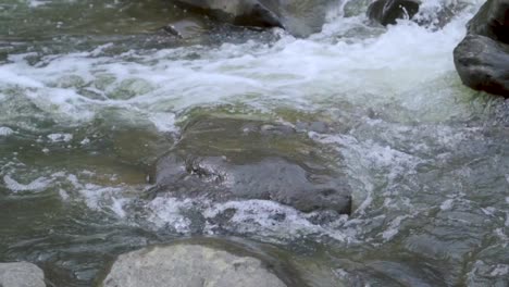 Stream-of-water-flowing-over-rocks-in-slow-motion-with-small-waves-during-fall-in-Washington,-DC