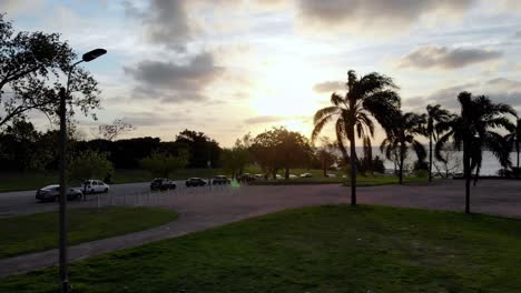 aerial-video-moving-straight-through-the-park-between-a-palm-tree-towards-the-horizon-with-the-sea-at-sunset