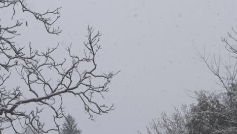 SLOW-MOTION:-POV-tilt-shot-into-the-sky-of-snow-falling-heavily-in-backyard-garden