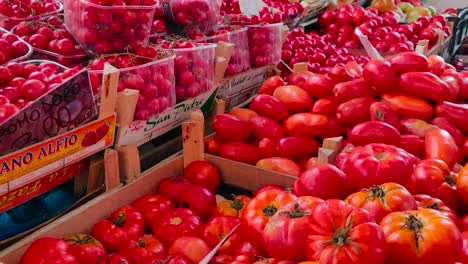 Hundreds-of-different-tomatoes-at-market-stall,-close-up-pullback