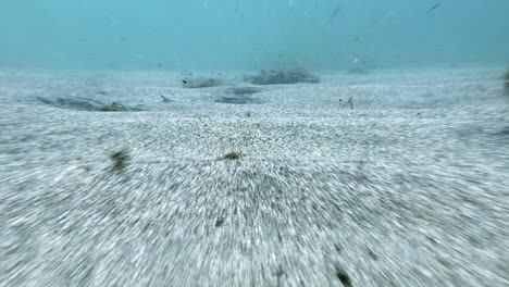 Unterwasserschuss-Taucher-Pov-Gleiten-Auf-Dem-Sandigen-Meeresboden-In-Der-Karibik