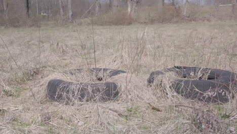 junk-tires-in-fielded-area
