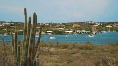 Segelboote-Verankert-Im-Tiefblauen-Spanischen-Wasserhintergrund-Mit-Kakteen,-Grünem-Gras,-Verschiedenen-Häusern-Und-Pflanzen-Unter-Dem-Blauen-Bewölkten-Himmel-Auf-Der-Insel-Curacao---Weitwinkelaufnahme