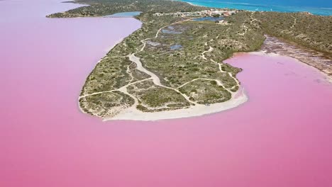 Luftaufnahme-Rosafarbener-Wassersee-Mit-Blauem-Ozean-Im-Hintergrund,-Neigung-Nach-Oben