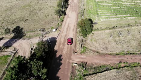 aerial-view-of-a-red-car-driving-on-a-dirt-road-in-fields,-flying-over-in-summer-by-drone