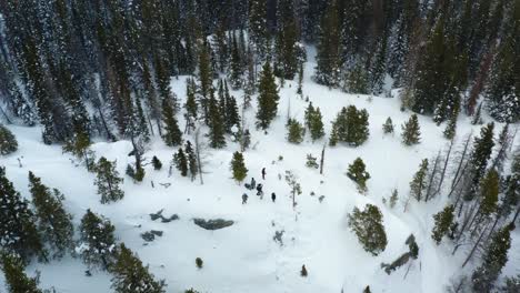 Aerial-forward-pan-down-shot-of-a-group-of-people-on-a-snowy-mountain