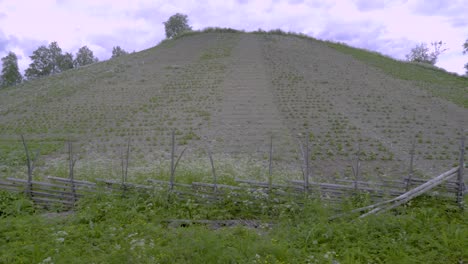 In-Nordschweden-Gibt-Es-Einen-Hügel,-Auf-Dem-Die-Bewohner-Kartoffeln-Anbauen