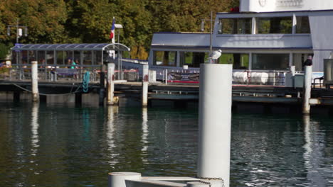 Seagull-sitting-on-dock-pole-at-small-harbor