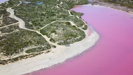 Aerial-of-car-on-shore-of-pink-lake,-blue-ocean-revealed-in-background,-pan-tilt