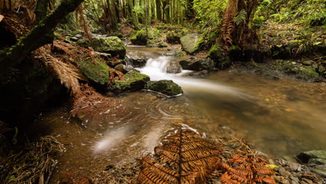 Lapso-De-Tiempo-De-Un-Río-De-Nueva-Zelanda-En-El-Bosque-Con-Exuberante-Follaje-Verde-Y-Marrón