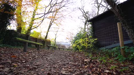 Walking-through-the-forest-in-path-way-with-benches-and-a-small-cabin-in-slow-motion