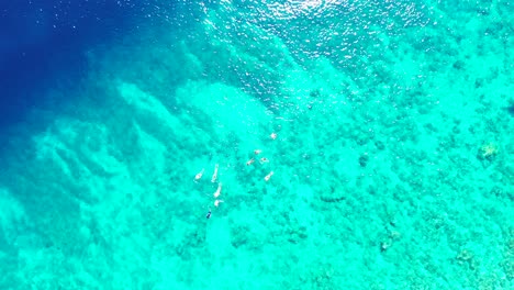 Menschen-Schnorcheln-Und-Schwimmen-Auf-Ruhigem,-Klarem-Wasser-Der-Türkisfarbenen-Flachen-Lagune-Und-Beobachten-Wunderschöne-Felsen-Und-Korallenriffe-Auf-Dem-Meeresboden-Australiens