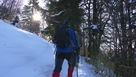 Hikers-walk-through-snowy-forest-in-full-winter-equipment-on-sunny-day,-slow-motion