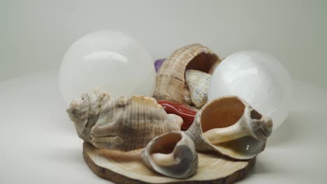 Sea-Shells-On-Top-Of-A-Wood-Craft,-Crystal-Magic-Balls,-And-Precious-Gem-Stones---Close-Up-Shot