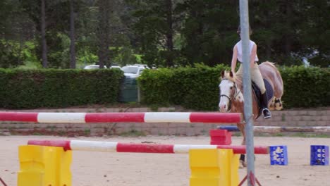 Sabino-paint-cross-Horse-with-woman-jockey-practicing-show-jumping
