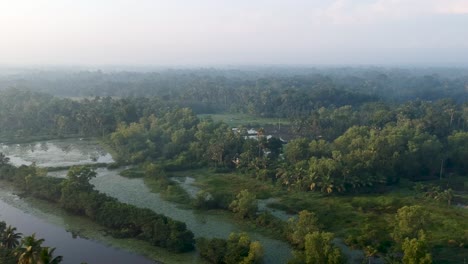 Fluss-In-Asien,-Backwater-Village,-Mangroven,-Sonnenaufgang,-Nebel,-Bewässerung,-Boot,-Transport,-Kokospalmen,-Luftaufnahme