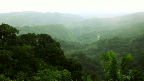 A-large-landscape,-the-El-Yunque-rainforest-in-Puerto-Rico,-covered-in-a-thick-mist