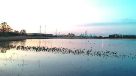 Early-morning-at-an-Antwerp-bird-watching-lake