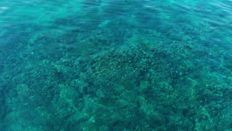 Wunderschöne-Korallen-Unter-Den-Blauen-Wellen-Von-Fidschi---Antenne