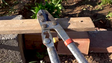 Working-tools-left-close-to-the-plant