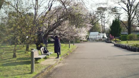 Japanische-Frau,-Die-Sich-An-Einem-Sonnigen-Morgen-Im-Park-In-Kyoto,-Japan,-Ausdehnt---Breite-Slowmo-aufnahme