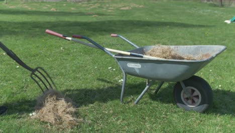 Young-man-filling-wheelbarrow-with-dry-grass-using-pitchfork