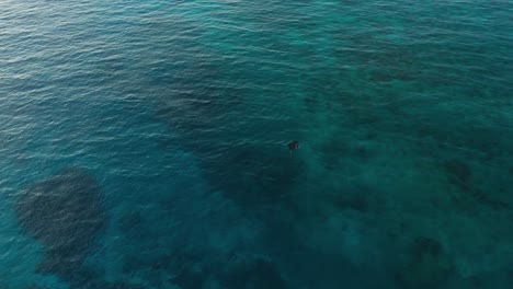 Giant-Reef-Manta-Ray-Swimming-On-The-Shallow-Blue-Sea-In-Fiji-Opposite-A-Sailing-Boat-With-Coral-Reef-Underwater---Aerial-Shot