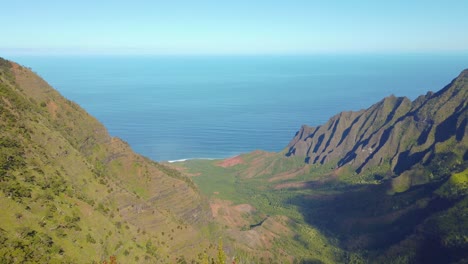 4K-Hawaii-Kauai-boom-up-and-slight-pan-right-to-left-from-a-tree-to-beautiful-canyon-and-ocean-view-from-Pu'u-Kila-Lookout