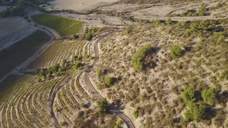 Aerial-of-Winery-hills-in-the-Colchágua-Valley,-Chile