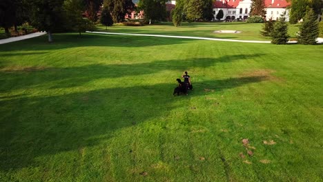 Aerial-view-of-a-obedience-trainer-teaching-to-follow-to-two-bernese-dogs-in-a-city-park