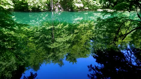 Blauer-Himmel-Spiegelt-Sich-Auf-Einem-Schönen-Grünen-Frischen-Waldsee-Wider
