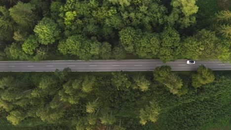 A-passenger-car-is-passing-by-the-road-through-a-beautiful-part-of-a-green-forest,-top-view-capture-by-a-drone-in-about-60-meters-height