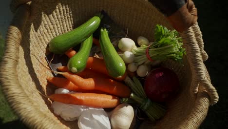 Vegetable-basket-at-Vancouver-Island-Farmers-Market