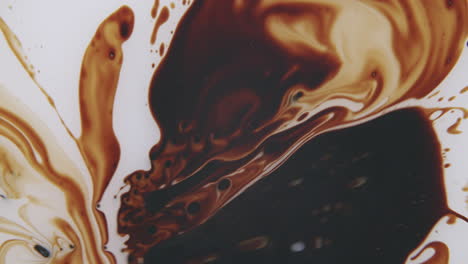 Black-and-orange-liquid-forming-abstract-forms-on-a-white-surface